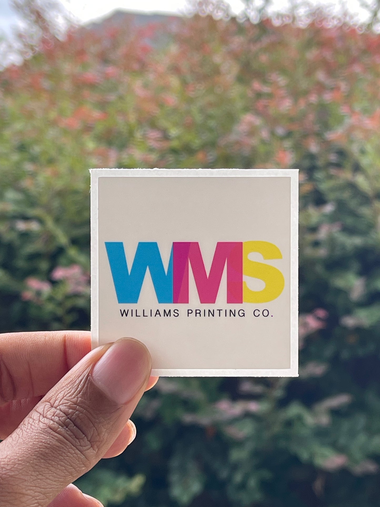SQUARE STICKERS Williams Printing